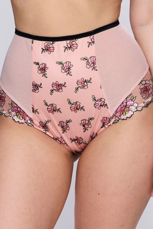 PrimaDonna Eraclea Special Briefs